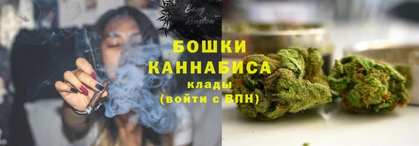 PSILOCYBIN Арсеньев