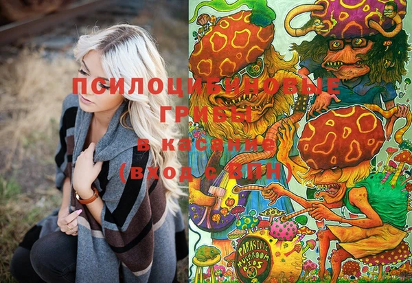 MESCALINE Аркадак