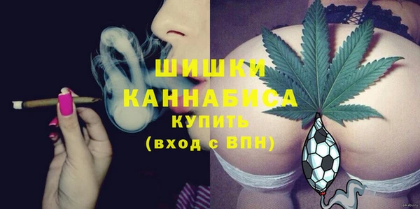 PSILOCYBIN Арсеньев