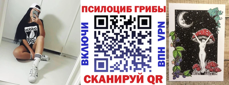 Псилоцибиновые грибы мицелий  Урюпинск 